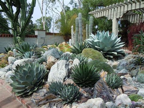 Steps to making an indoor cactus garden: Soft Autumn wardrobe colors | Succulent rock garden ...