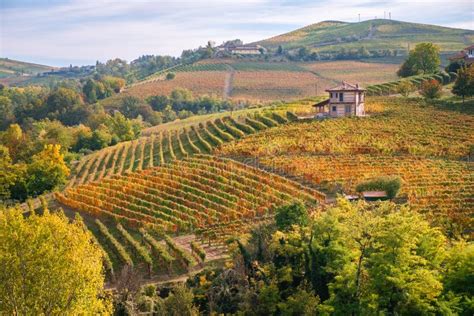 Langhe Barolo Vineyards Hills Landscape Piedmont Italy Stock Photo