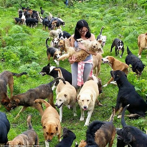 Dog Paradise ‘land Of The Strays In Costa Rica Where Nearly 1000 Run