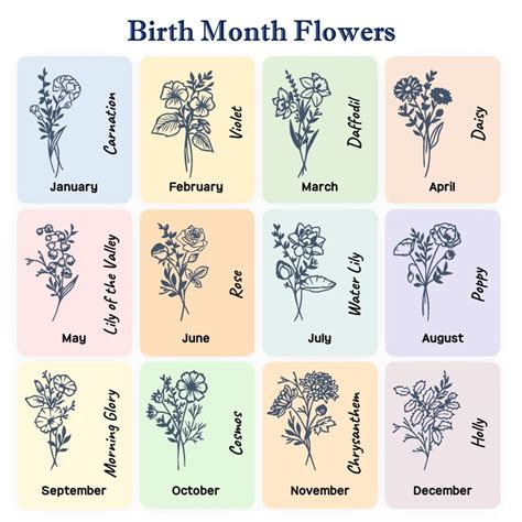 Birth Month Flower Svg Birth Flower Svg Birth Flower Designs