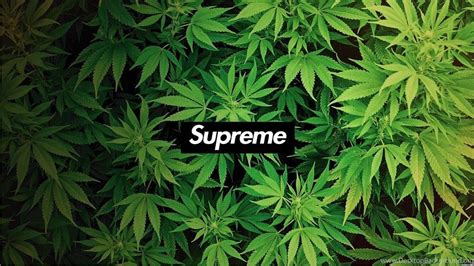 Iphone wallpapers find and download the best iphone wallpapers, from blue backgrounds to black and white backdrops. Pin by george tchakanakia on only | Supreme wallpaper ...