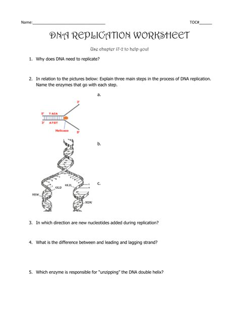Because you should give programs a. DNA REPLICATION WORKSHEET