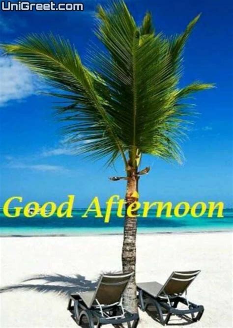 {2020 BEST} Good Afternoon Images Quotes Wallpaper Messages Free Download