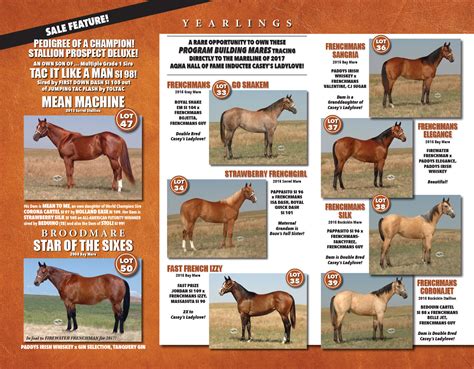 Frenchmans Quarter Horses - Sale Offering
