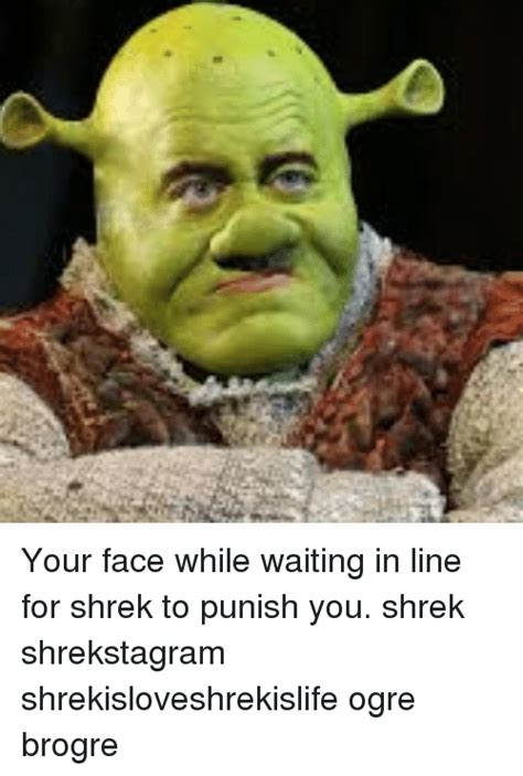 Your Face While Waiting In Line For Shrek To Punish You Shrek