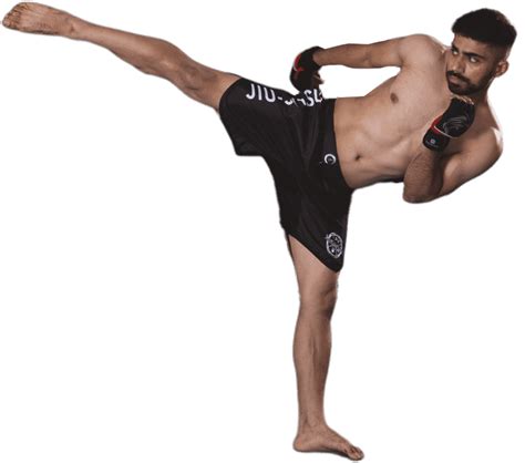 Learn Mixed Martial Arts Mma In Delhi Get A Free Trial Today