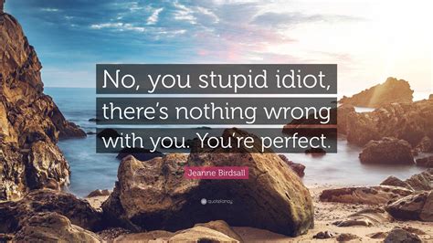 Jeanne Birdsall Quote No You Stupid Idiot Theres Nothing Wrong