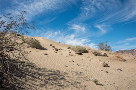 Day Hiking Trails Hike Heads To Sand Dunes In Joshua Tree Np