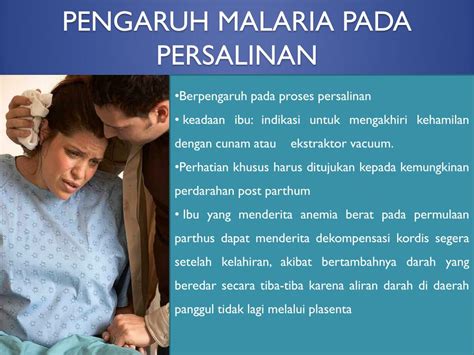 Ppt Asuhan Kebidanan Patologi Malaria Dalam Kehamilan Powerpoint