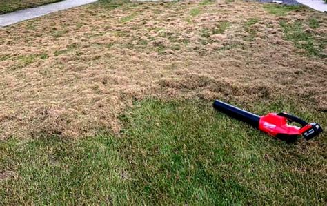 This guide covers using a dethatching rake and power rake. Lawn Dethatching: Everything You Need to Know - Plant for Success