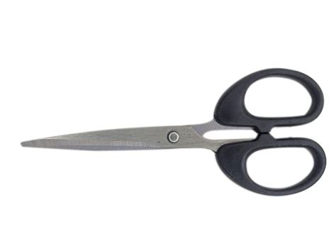 8inch Stainless Steel Scissor For Cutting Sizedimension 6inch Rs
