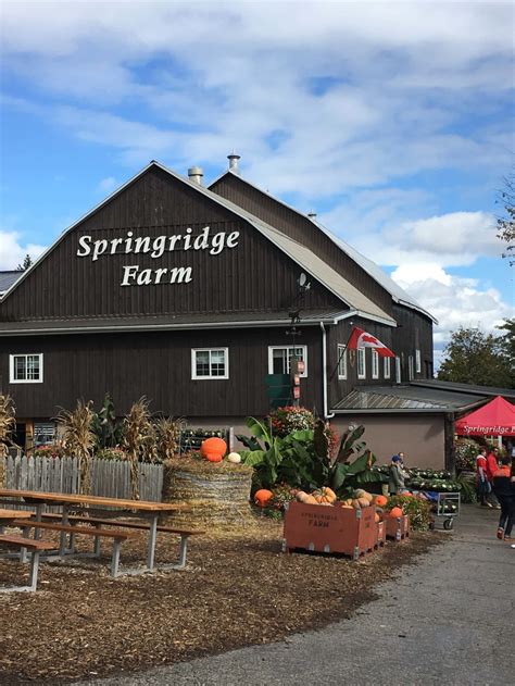 Springridge Farm - Opening Hours - 7256 Bell School Line, Milton, ON