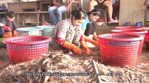 Forced Labors In Shrimp Peeling Shed In Samutsakorn Rescue Almost Hundred Myanmar Workers