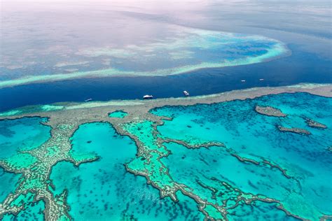 5 Must Dive Sites In The Great Barrier Reef Marine Park Underwater360