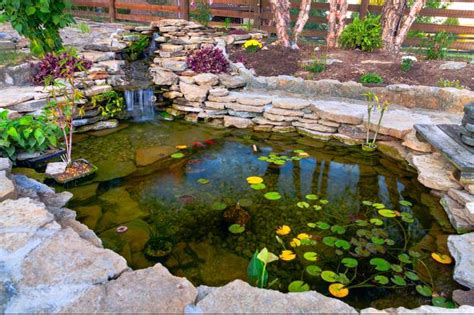 This is my 2006 honda silver wing 600. Step-by-Step Guide on How to Build a Duck Pond in Your ...