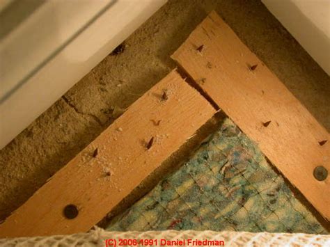 Check spelling or type a new query. Asbestos Carpet Underlay Canada | Cars & Trucks, Vehicles ...