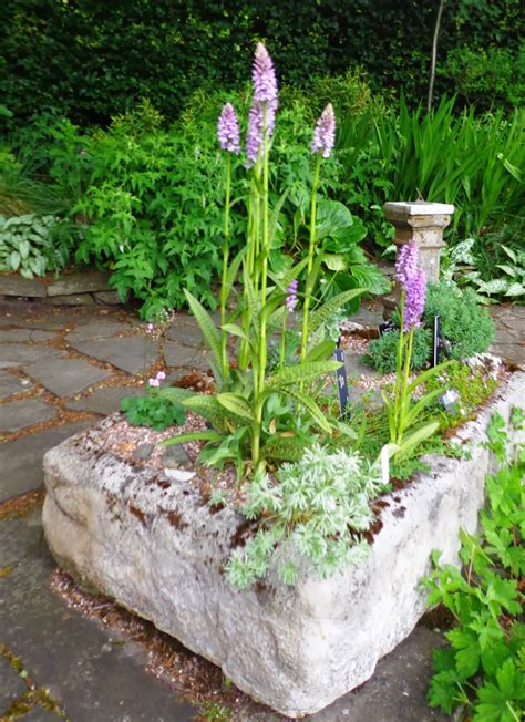 1 variation in cardiocrinum giganteum, peter cox, the plantsman, june 2009, p. Prairiebreak: Branklyn: yet another breathtaking Scottish ...