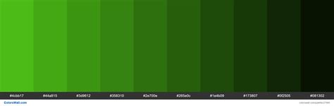 Shades Of Kelly Green Color 4cbb17 Hex Hex Color Palette Hex Colors