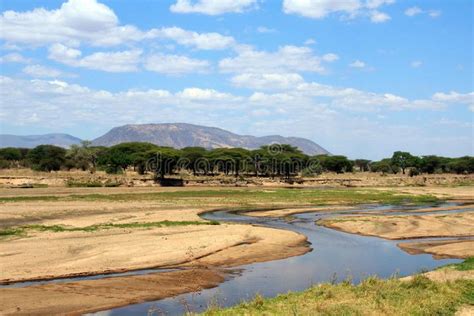 African Landscape Ruaha River In Dry Season Stock Image Image Of