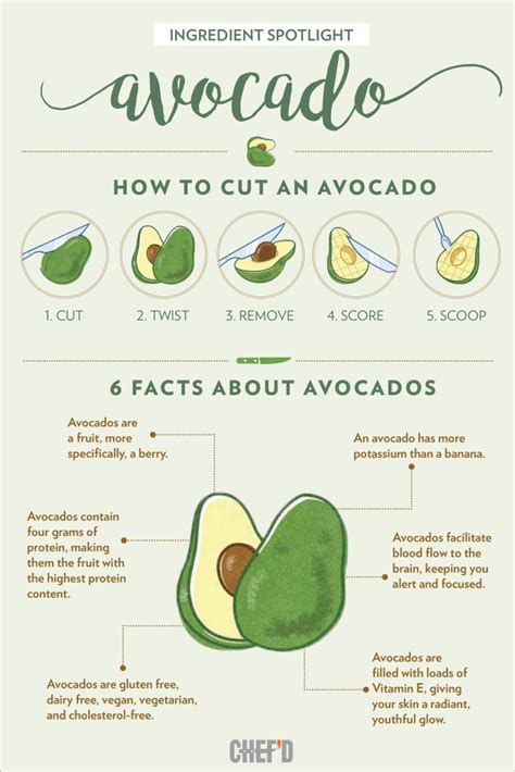 Infographics For Avocado Lovers Part