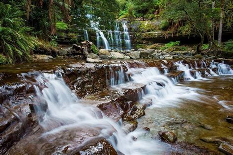 Liffey Falls Tasmania Waterfall Landscape Photographers Landscape