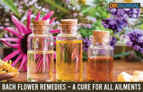 Bach Flower Remedies A Cure For All Ailments Part 1