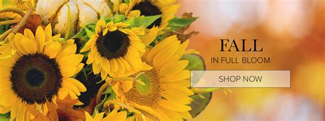Andover Florist | Flower Delivery by Kokee Flowers