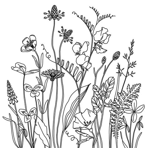Floral Pattern Drawing Wildflower Drawing Flower Line Drawings Drawings