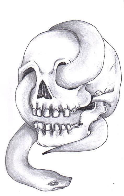 Skull And Snake Sketch By Max54995 On Deviantart