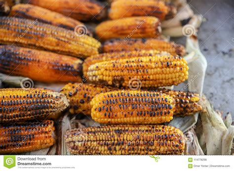 This is not a low fat, low calorie dish but it sure is good. Boiled and fried corn stock photo. Image of healthy ...