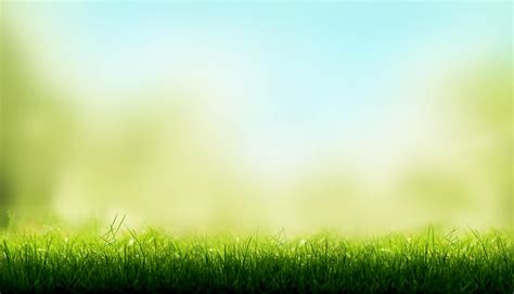 Blades of Green Grass with a blurred sky blue and green garden foliage