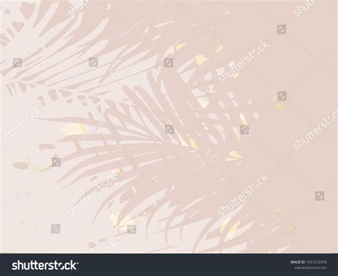 1653 Tropical Wall Paper Beige Images Stock Photos And Vectors