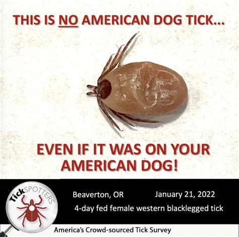 Western Blacklegged Tick Tickencounter