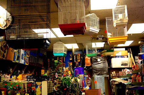 In this pet supply store, whether it is a pet tag, a pet bed, pet care, pet insurance, or a pet product such as a pet toy or a pet costume, we can provide it as any discount pet supply store would. Pet Store. | Harvard Ave Boston, MA | H-O-W-L | Flickr