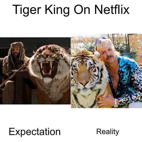 Tiger King Meme Discover More Interesting Bengal Tiger Hilarious Joe