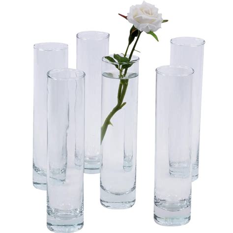 Mini Glass Cylinder Vases Glass Cylinder Vases Cylinder Vase Bud Vases Arrangements