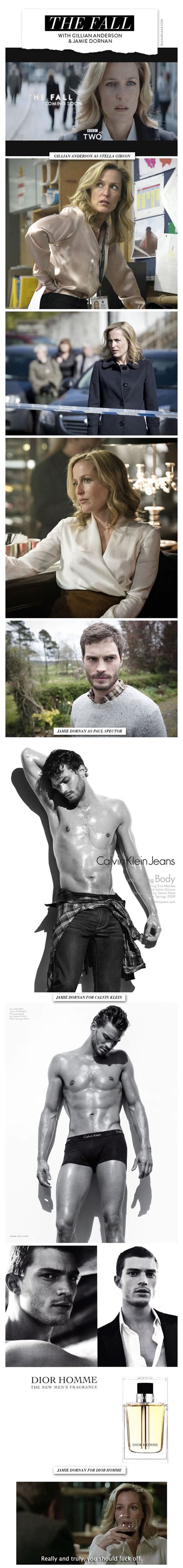 Alexander held, andreas all the actors play their roles well in this movie. «The Fall» mit Gillian Anderson und Jamie Dornan | Gillian ...