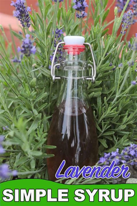 Lavender Simple Syrup Recipe Hildas Kitchen Blog