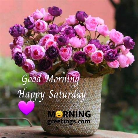 50 Good Morning Happy Saturday Images Morning Greetings Morning
