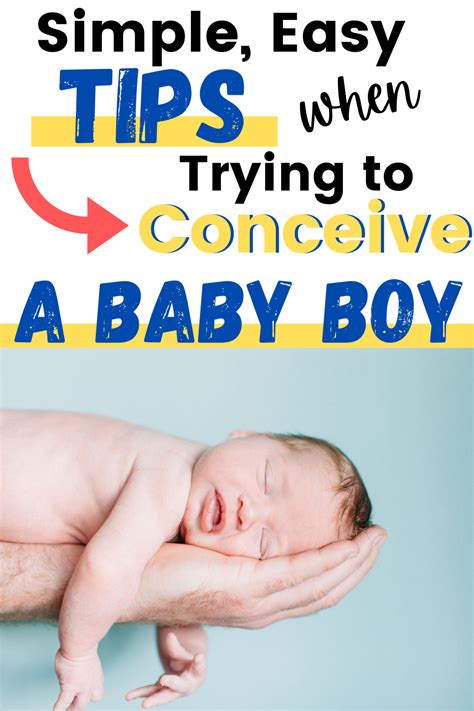 Trying To Conceive A Boy How Do I Get Pregnant With A Boy