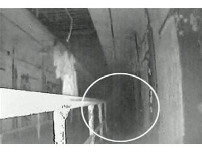 Both children and adults observe these beings as fast, dark movements in their peripheral vision, some have seen them. Shadow People Phenomenon 01/13 by ParanormalReview ...