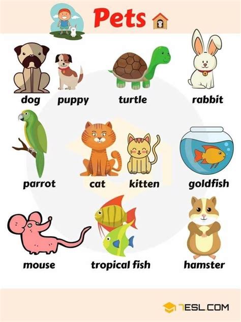 Pin By Ramya Nagarajan On English Resources Animals Name In English