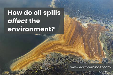 Oil Spills On Land