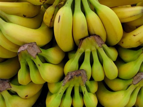 Hello, we are banana producer and exporter from ecuador, we are exporting high quality bananas with our own brands. Planning to travel to Ecuador? Here are 33 Fun Facts!