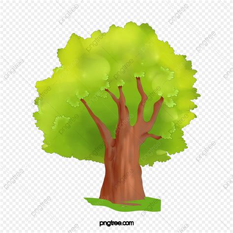 Gambar Pohon Hijau Subur Subur Hijau Pohon Png Transparan Clipart