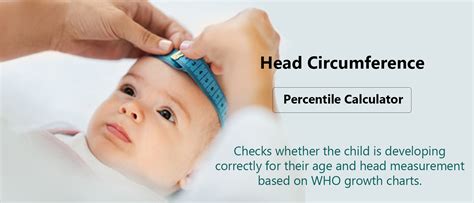 Head Circumference Percentile Calculator · Dr Dad