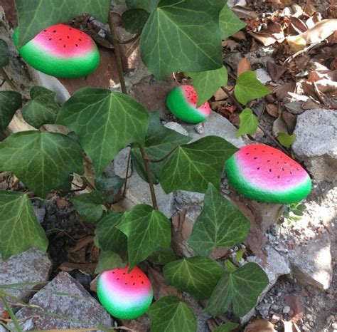 Watermelon Painted Rocks