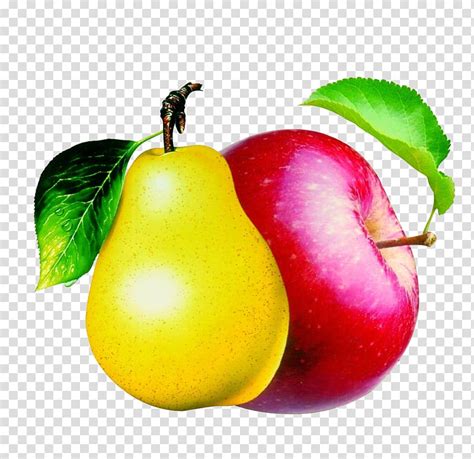 Apples And Pears Clipart 10 Free Cliparts Download Images On