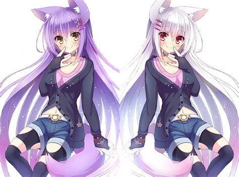 Twin Foxgirls Animal Ears White Hair Blush Purple Hair Navel