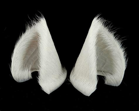 Diy Furry Cat Ears Diy Easy Realistic Cat Ears Howtomakecatsdiy